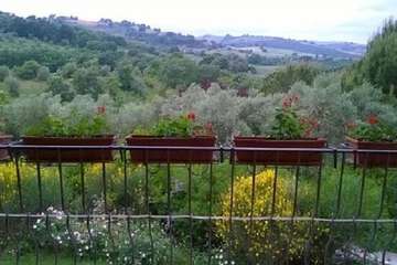 View from room