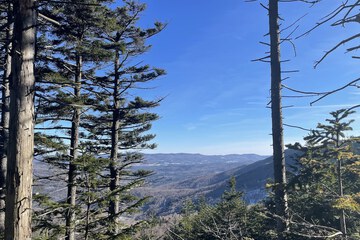 Snowshoeing