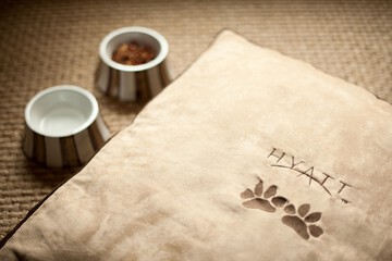 Pet Friendly 63 of 63