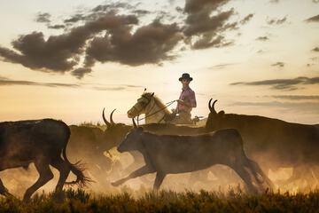 Horseback riding