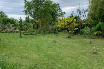 Photo 31