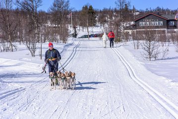 Snow and ski sports