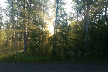 View from property