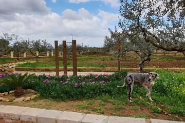 Photo 27