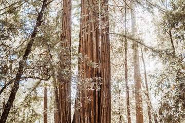Outdoor wedding area