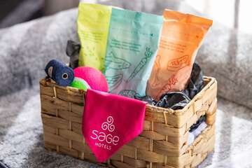 Pet-friendly amenities