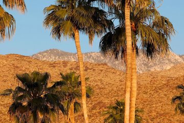 Land view from property