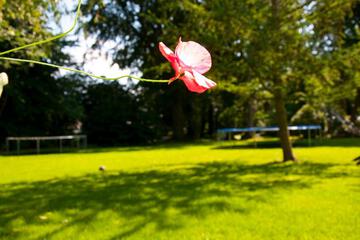 Photo 34