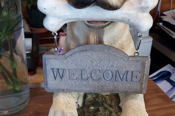 Pet-friendly