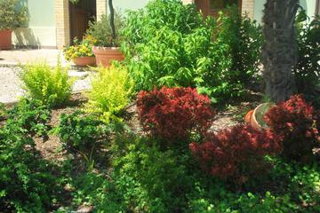 Photo 66