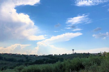 Land view from property