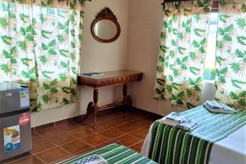 Photo 28