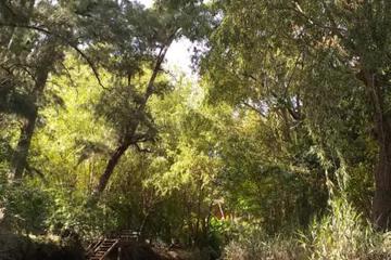 Photo 44