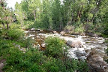 Photo 37