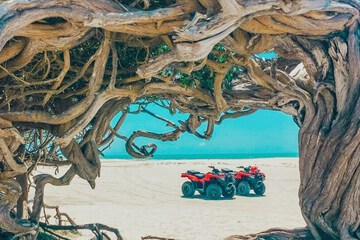 Ecotours