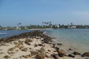 Photo 42