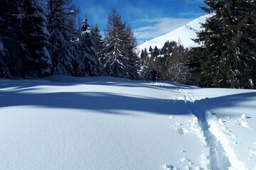 Snowshoeing