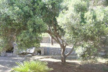 Photo 33
