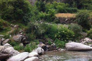 Photo 21
