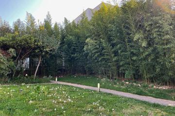 Photo 45
