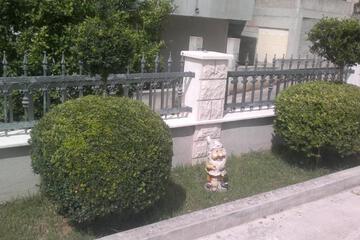 Photo 34