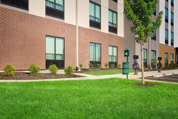 Pet-friendly amenities