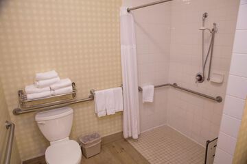 Bathroom shower