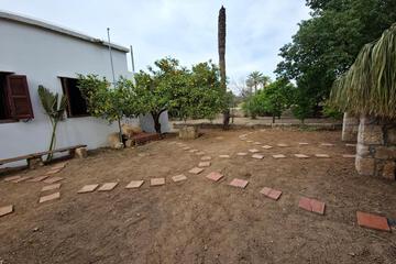 Photo 31