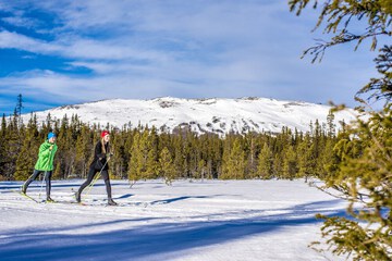 Skiing