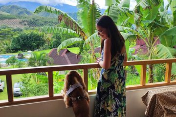 Pet-friendly
