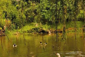 Lake