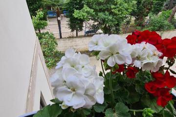 Photo 39