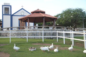 Children's activities