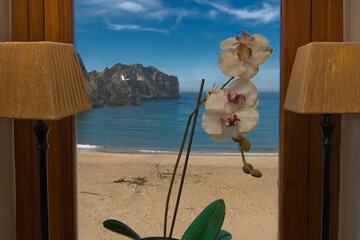 Beach/ocean view