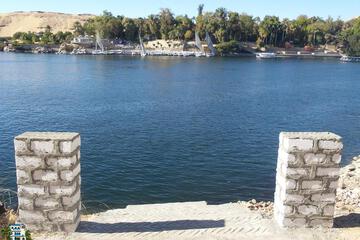 Photo 51