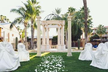 Conferences
