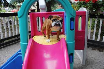 Children's play area - outdoor