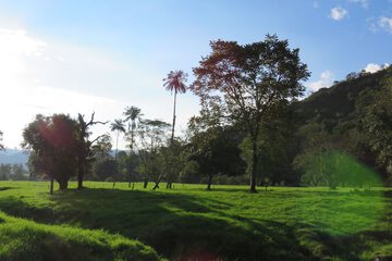 Land view from property