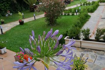 Photo 45