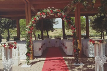 Outdoor wedding area