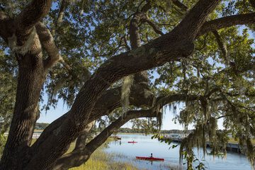 Kayaking