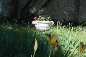 Photo 43
