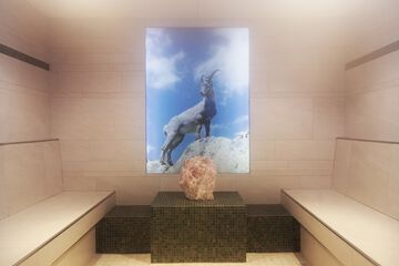 Steam room