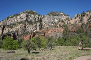 Photo 27