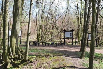 Hiking