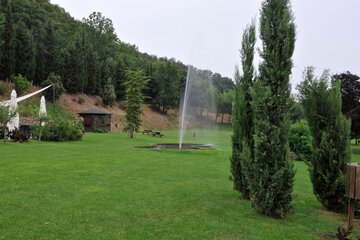 Park view