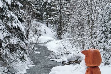 Snowshoeing