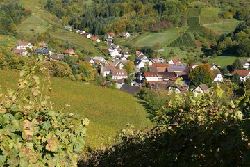 Mountain view