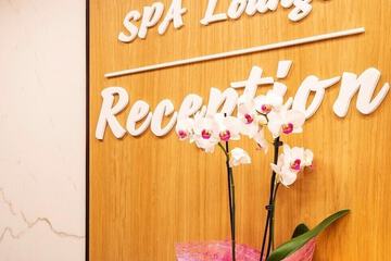 Spa reception