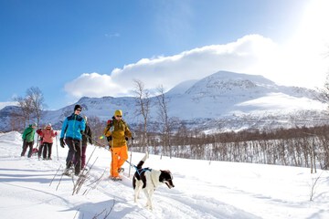 Snowshoeing
